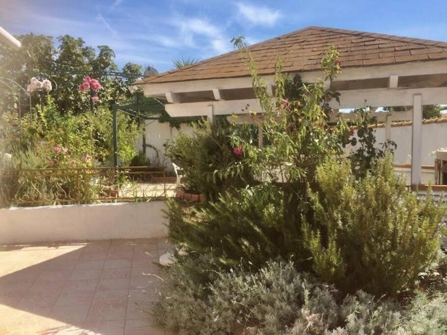 Superbe Appartement En Residence Avec Patio 马格隆新城 外观 照片